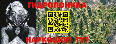 скорость Новокубанск