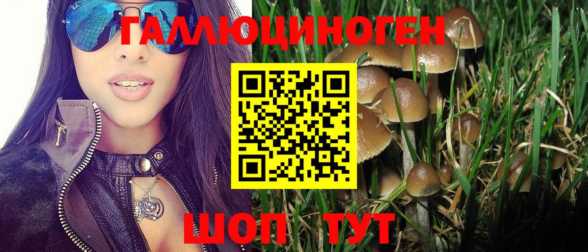 Галлюциногенные грибы мицелий Ставрополь