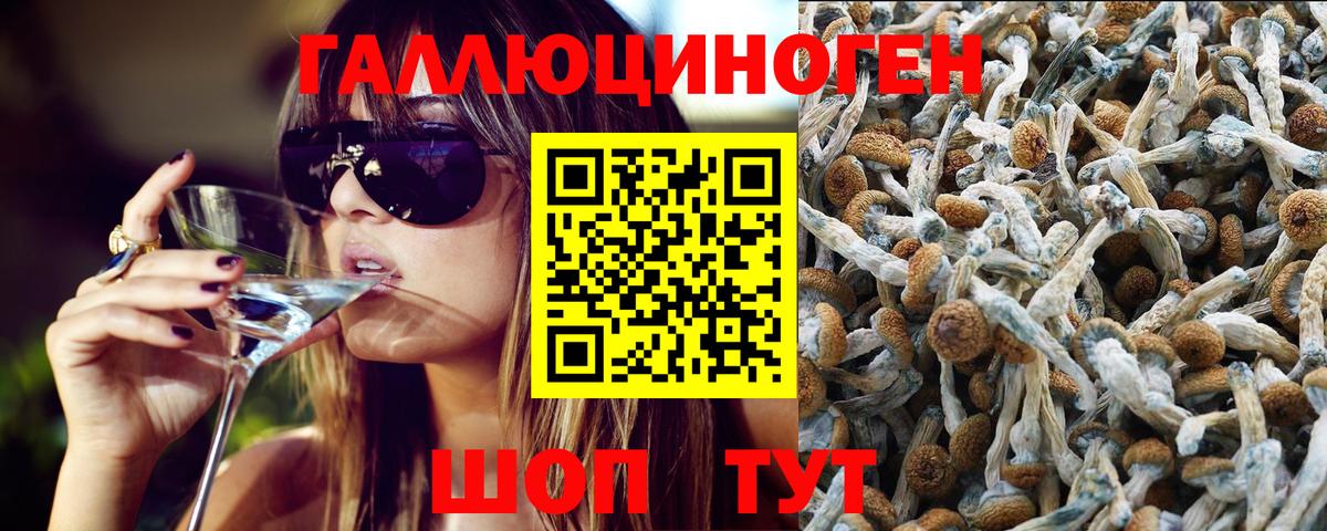 Псилоцибиновые грибы ЛСД  Вход с VPN  Ставрополь 