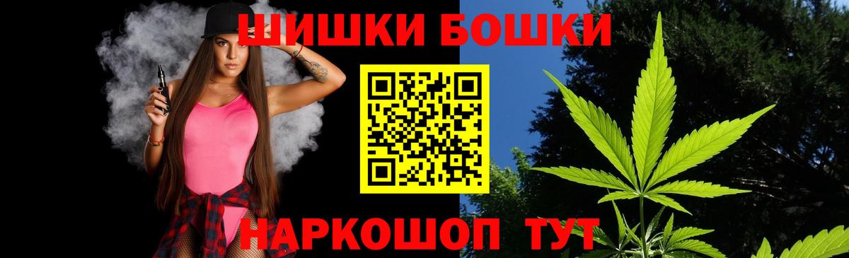 Каннабис сатива Ставрополь